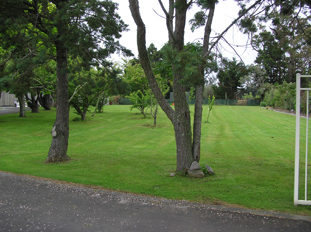Lawn mowing services - based in Gulf Harbour, on the Hibiscus Coast
