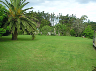 Lawn mowing services - Hibiscus Coast