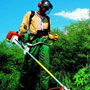 Weedeating and Spraying throughout Hibiscus Coast area